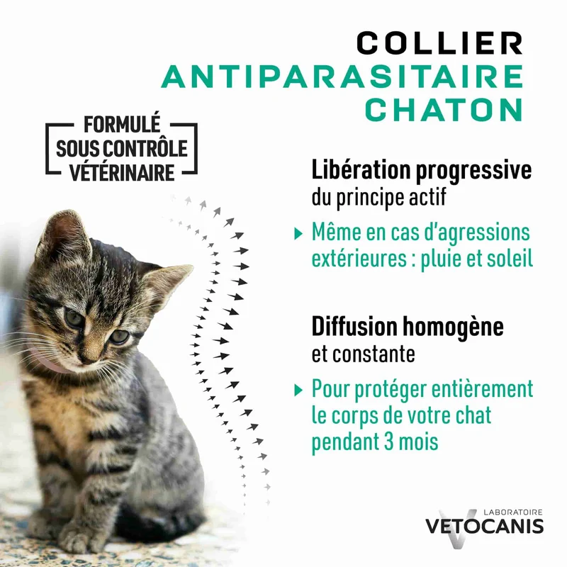 Collier Anti-Puces Anti-Tiques Répulsif pour Chat et Chaton
