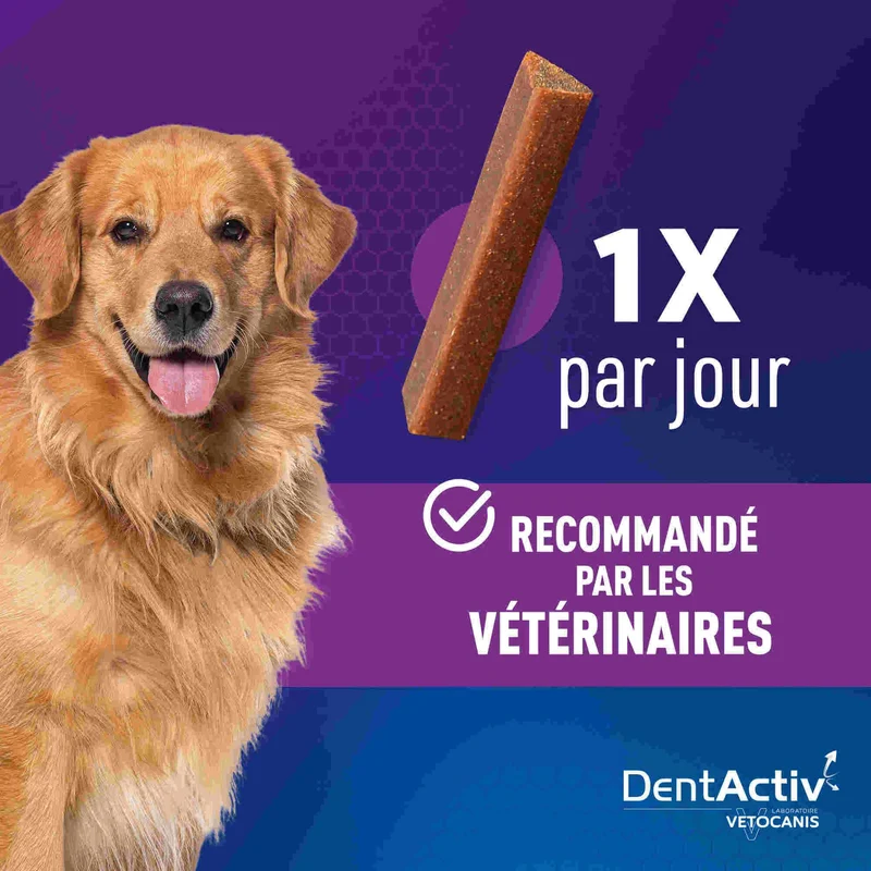 DentActiv Bâtonnets Hygiène Bucco-Dentaire pour Chien 15kg +