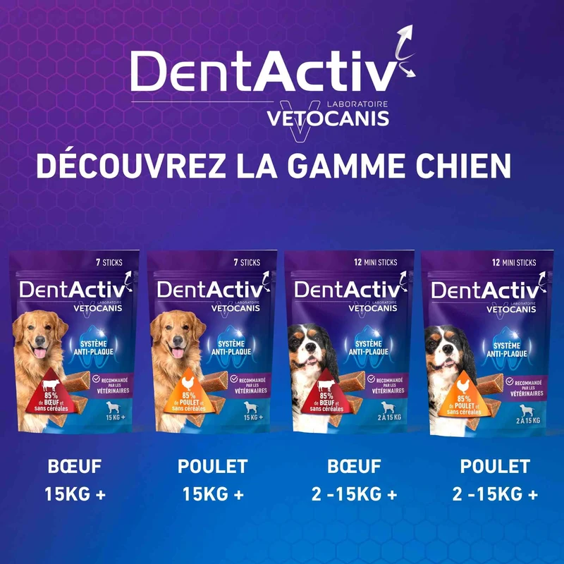 DentActiv Bâtonnets Hygiène Bucco-Dentaire pour Chien 15kg +