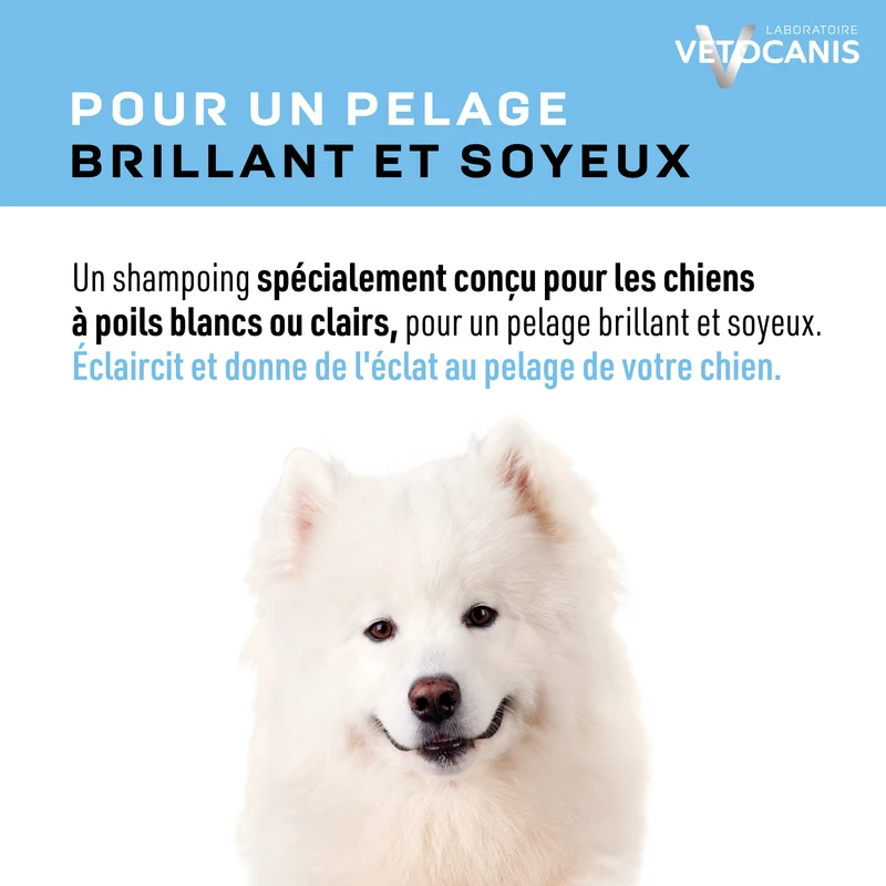 Shampoing Poils Blancs pour Chien, Camomille. 300ml