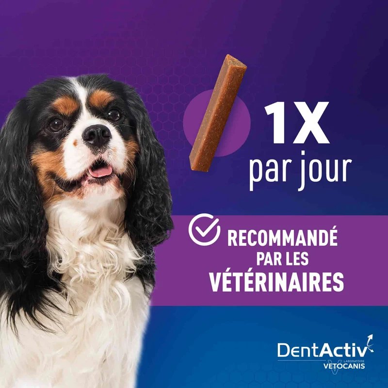 Bâtonnets Hygiène Bucco-Dentaire pour Chien 2-15 kg