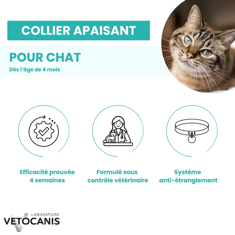 Collier Apaisant pour Chat 35cm