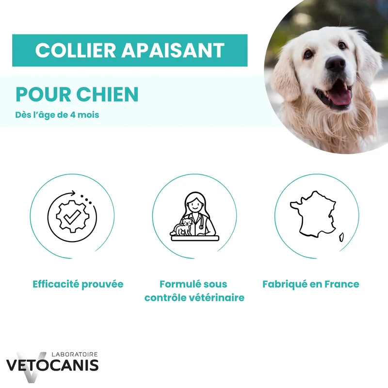 Collier Apaisant pour Chien 60cm