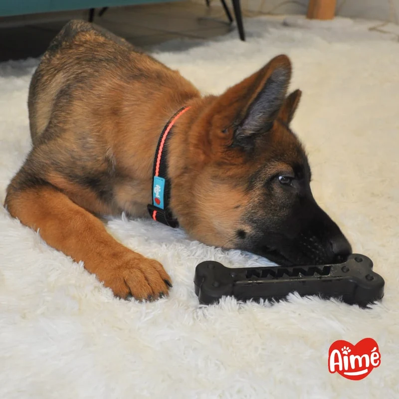 Jouet Chien Très Résistant Os 13cm - 100% Caoutchouc Végétal