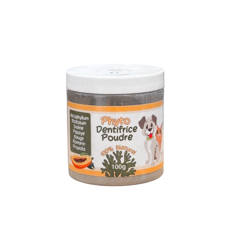 Dentifrice en poudre pour chien et chat