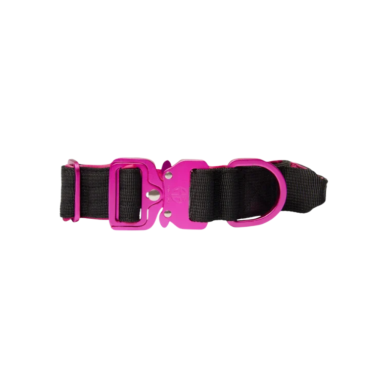Collier Bad Guys - 3cm - Noir et Rose