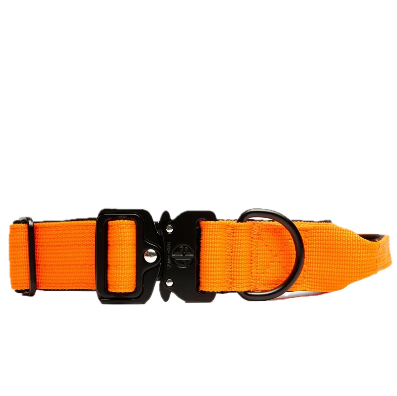 Collier Bad Guys - 3cm - Orange