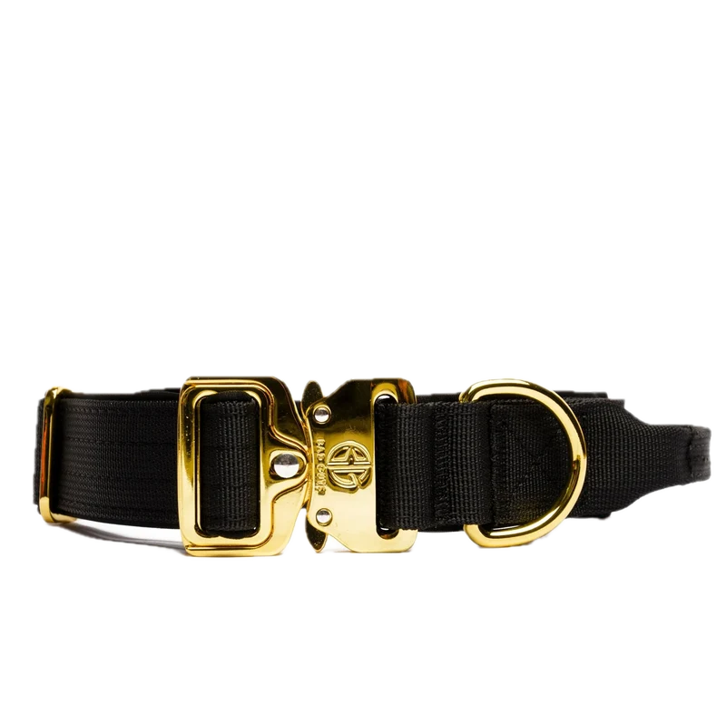 Collier Bad Guys - 3cm - Noir & Or