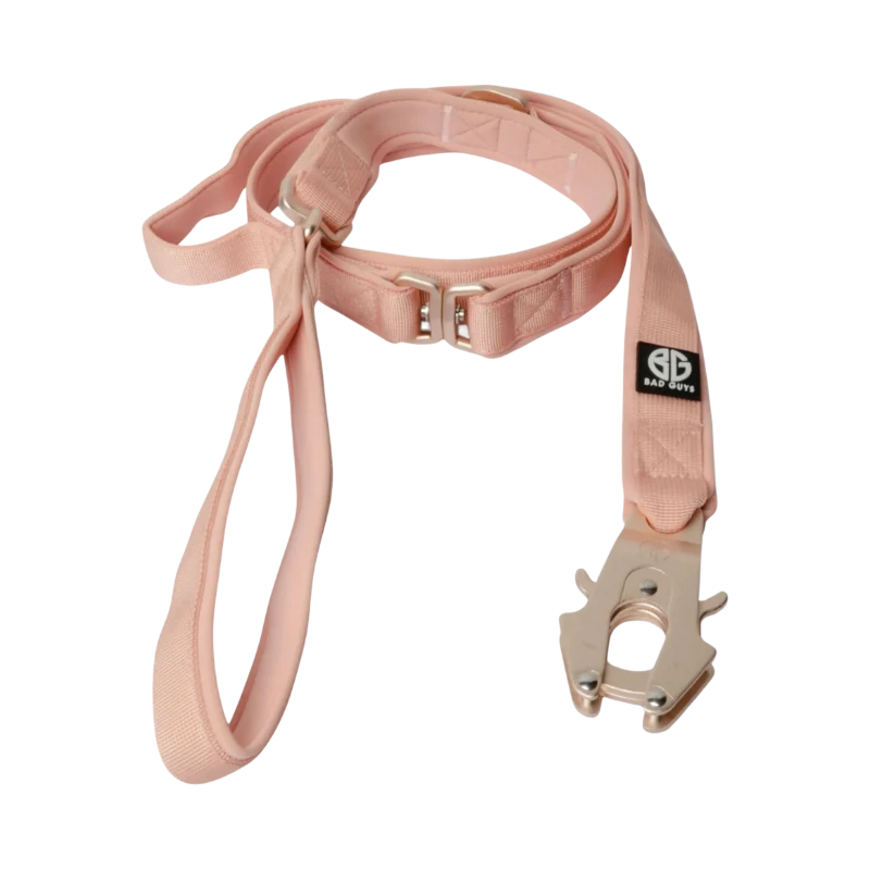 Laisse Sniper - Bad Guys - Rose Gold
