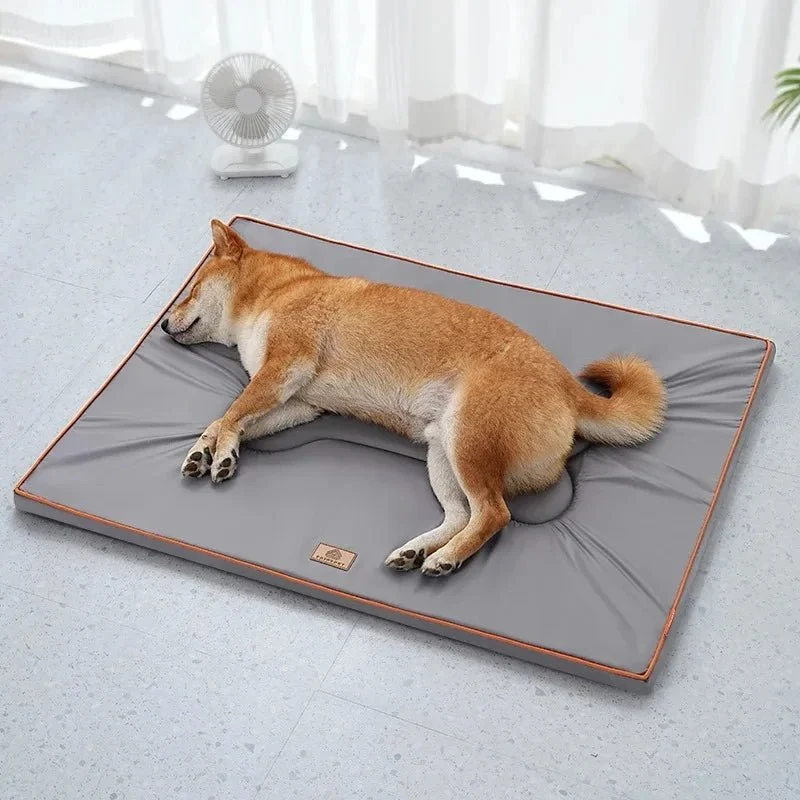 Tapis chien exterieur