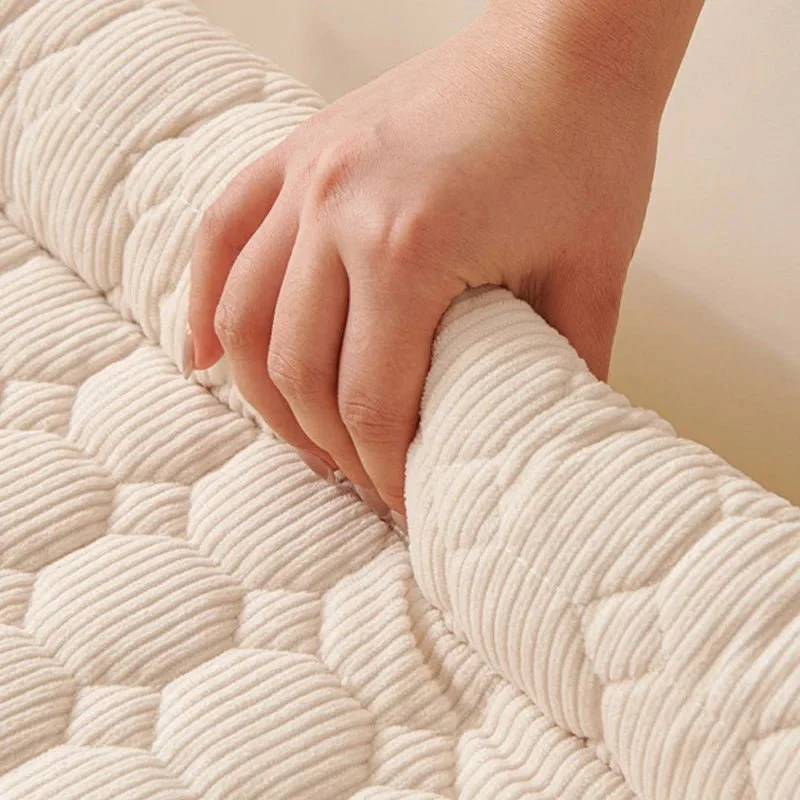 Protège canapé pour chien