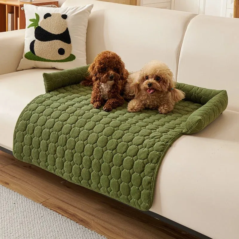 Protège canapé pour chien