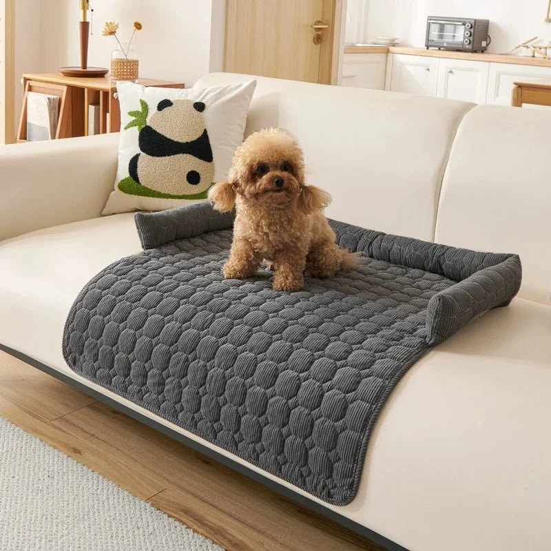 Protège canapé pour chien