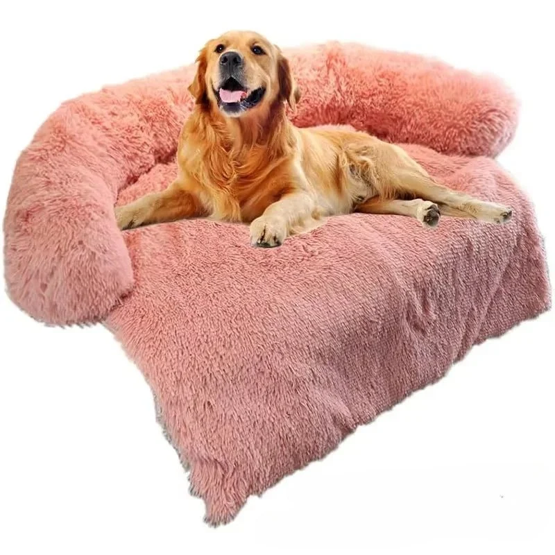 Coussin de canapé pour chien