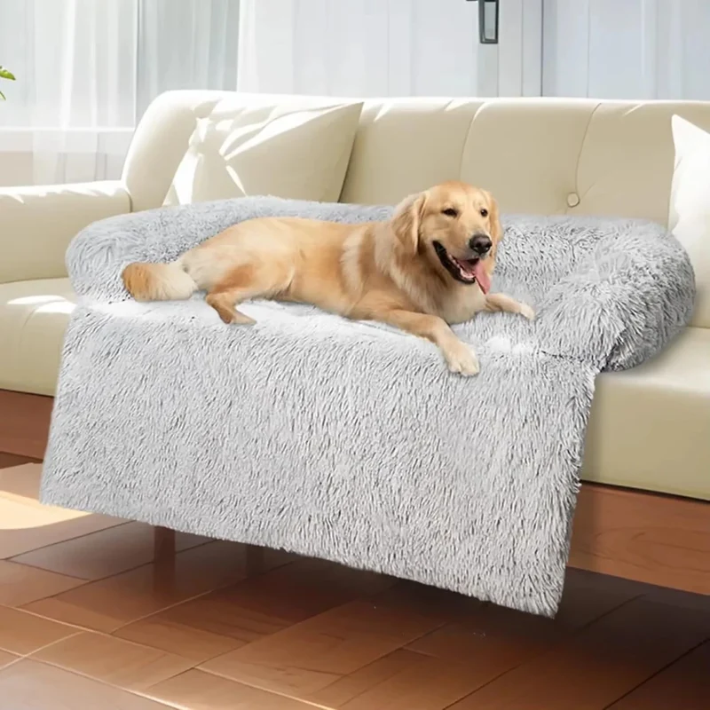 Coussin de canapé pour chien