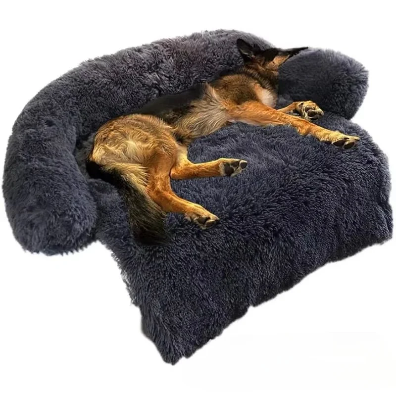 Coussin de canapé pour chien