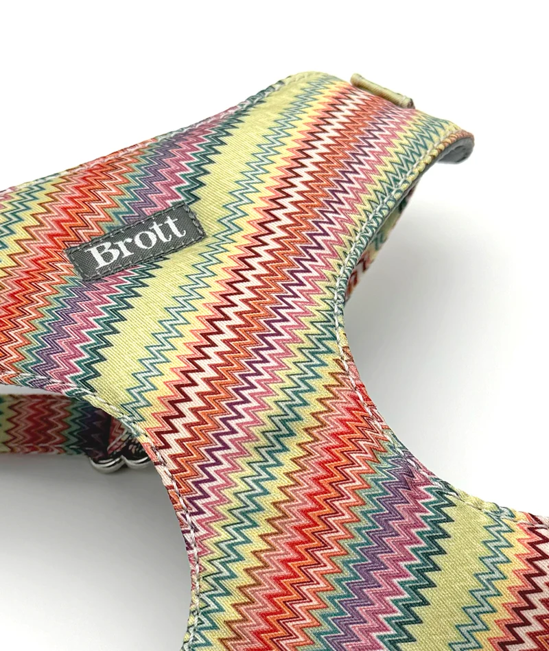 Arnés Soft Body para perro Llavaneres