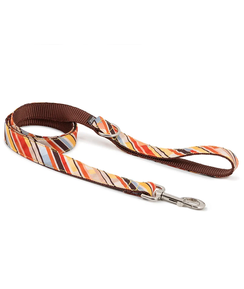 Correa para perro Caldes