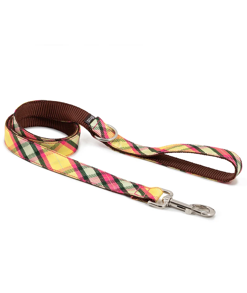 Correa para perro Mollet