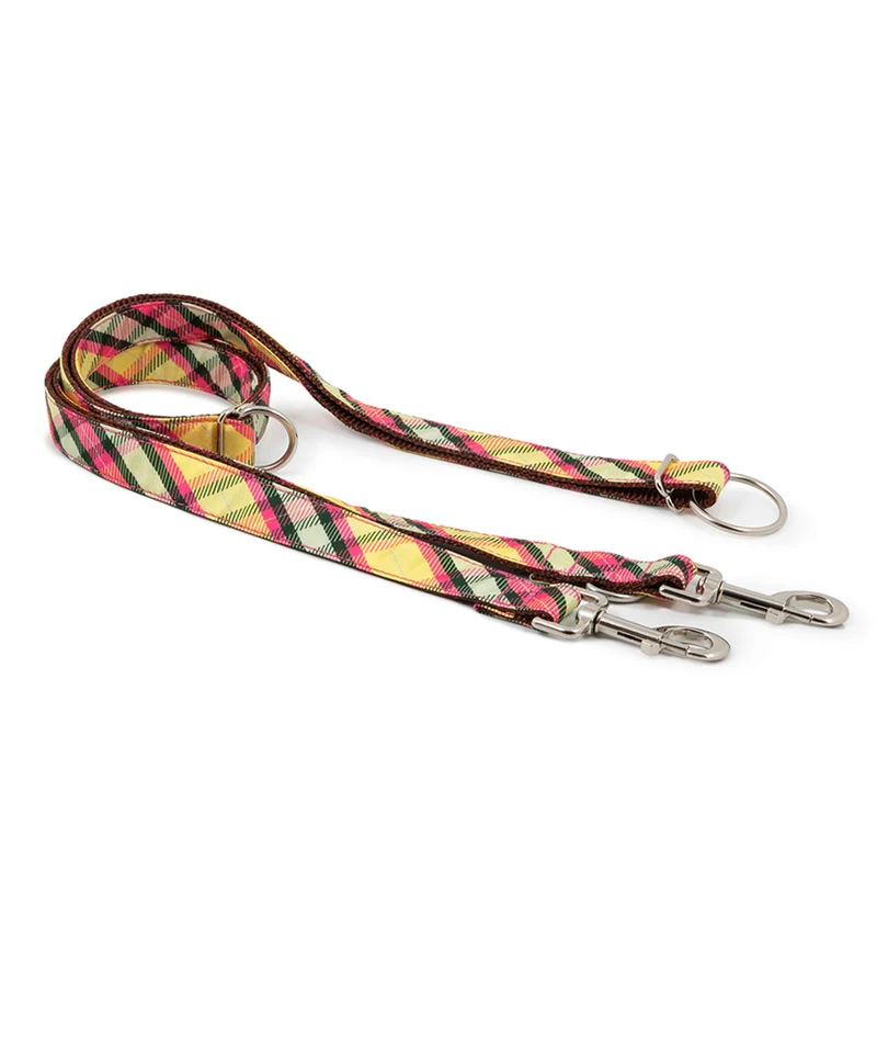 Correa para perro Mollet