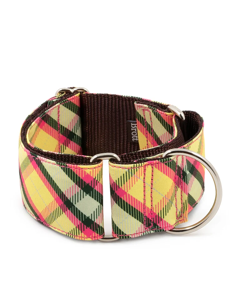 Collar para Galgo Textura Mollet