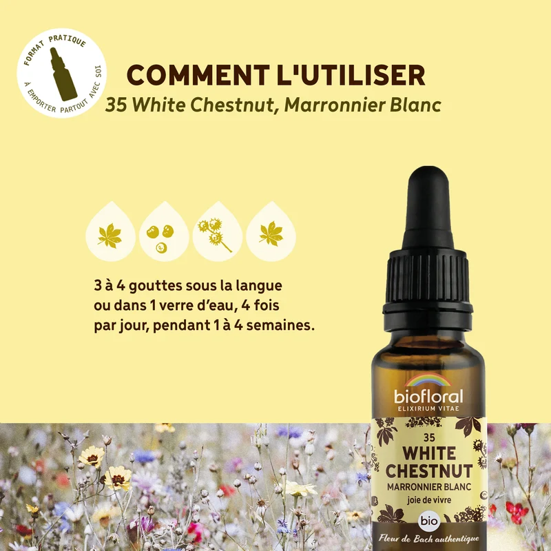 Fleur de Bach n°35 White Chestnut, Marronnier Blanc - Bio Demeter