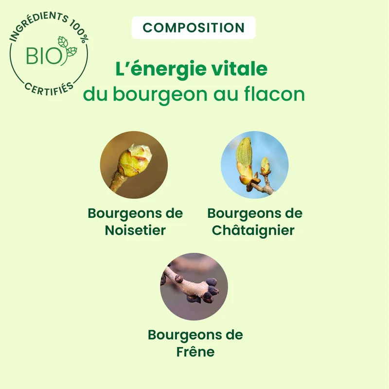 Celluligem - complexe ligne - Bio