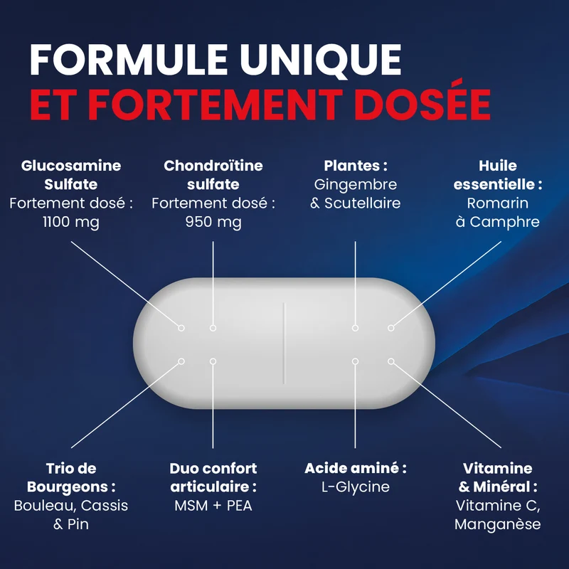 Myostéo Gluco Chondro MAX LP - 60 comprimés