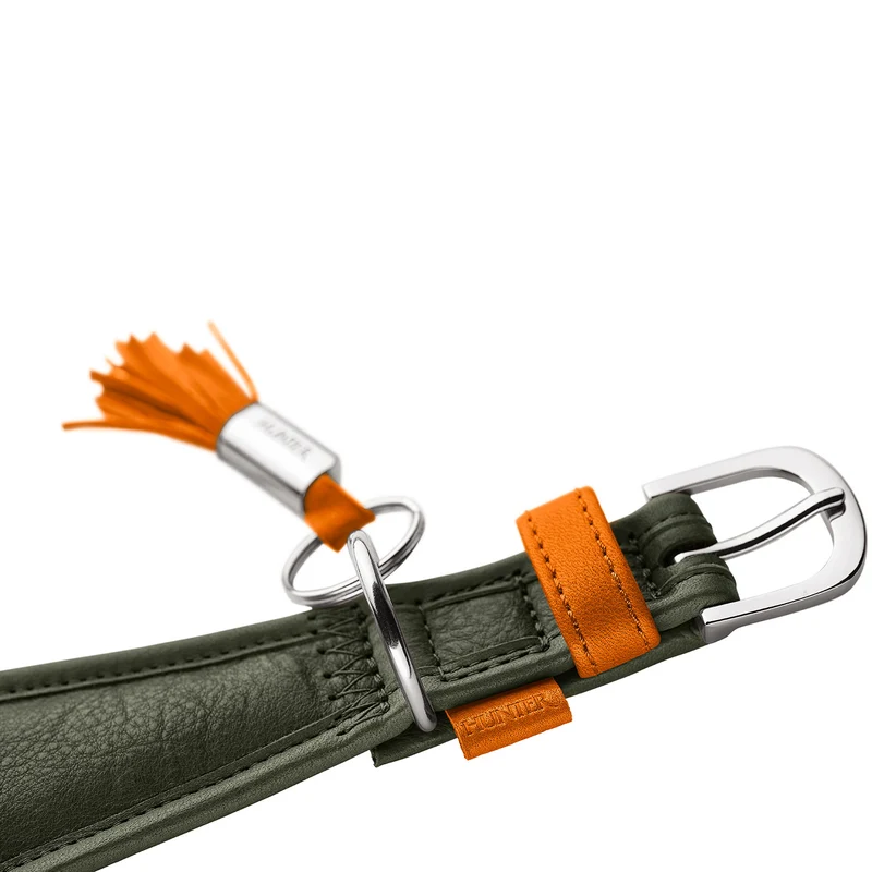 Windhundhalsband Portofino