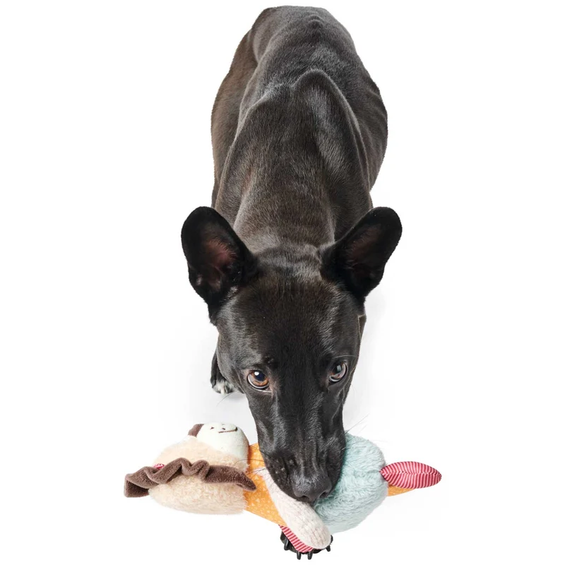 Hundespielzeug Muli