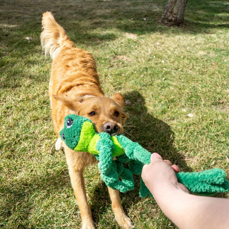 Hundespielzeug KONG® Knots® Frosch