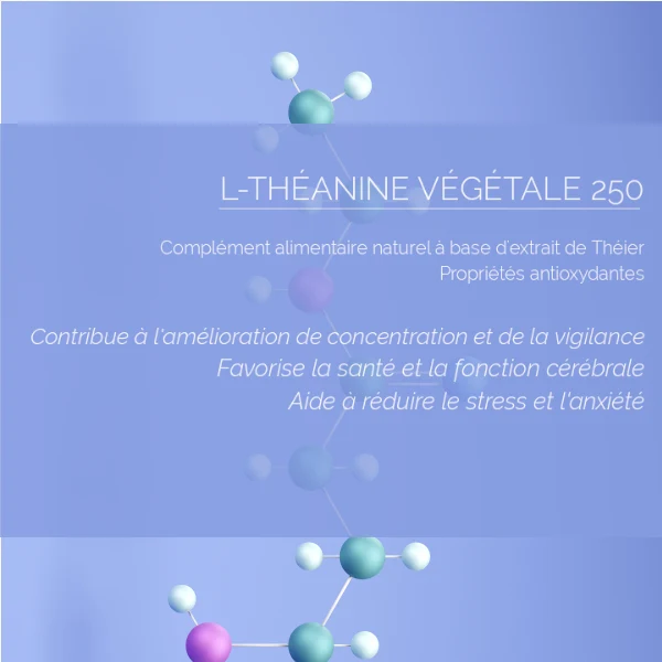 L-Théanine Végétale 250 mg : Antioxydant & Minceur