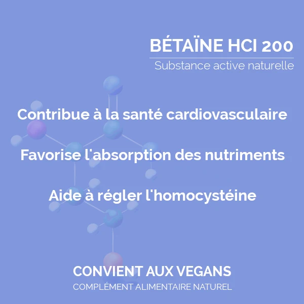 Bétaïne HCL 400 mg : Homocystéine