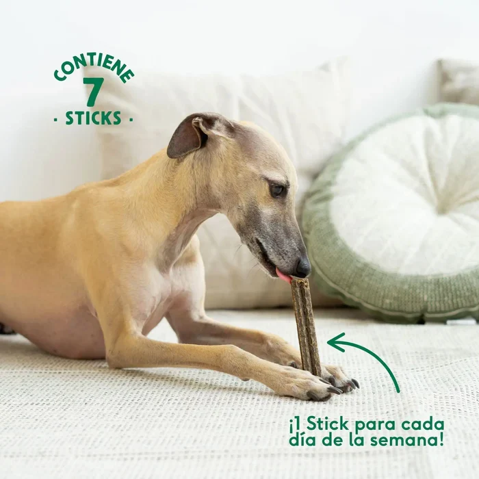 Sticks Dentales de Ternera (89% Carne) – Aliento Fresco y Dientes Limpios