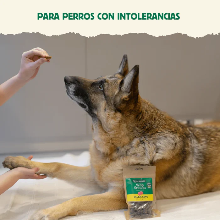 Wild Snacks Pelaje Sano de Venado: Brillo y Salud Térmica
