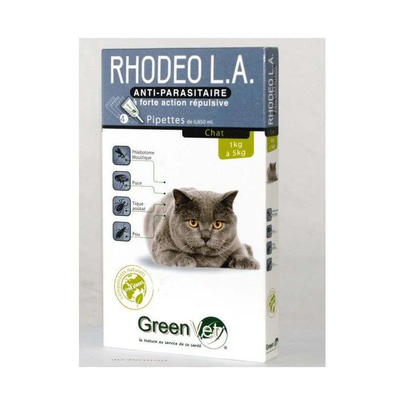 Rhodeo l.a Chat