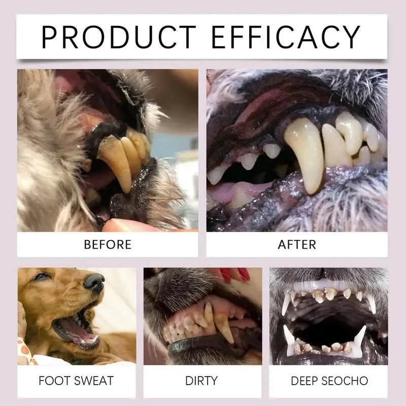 Stylo brosse à dents pour chien
