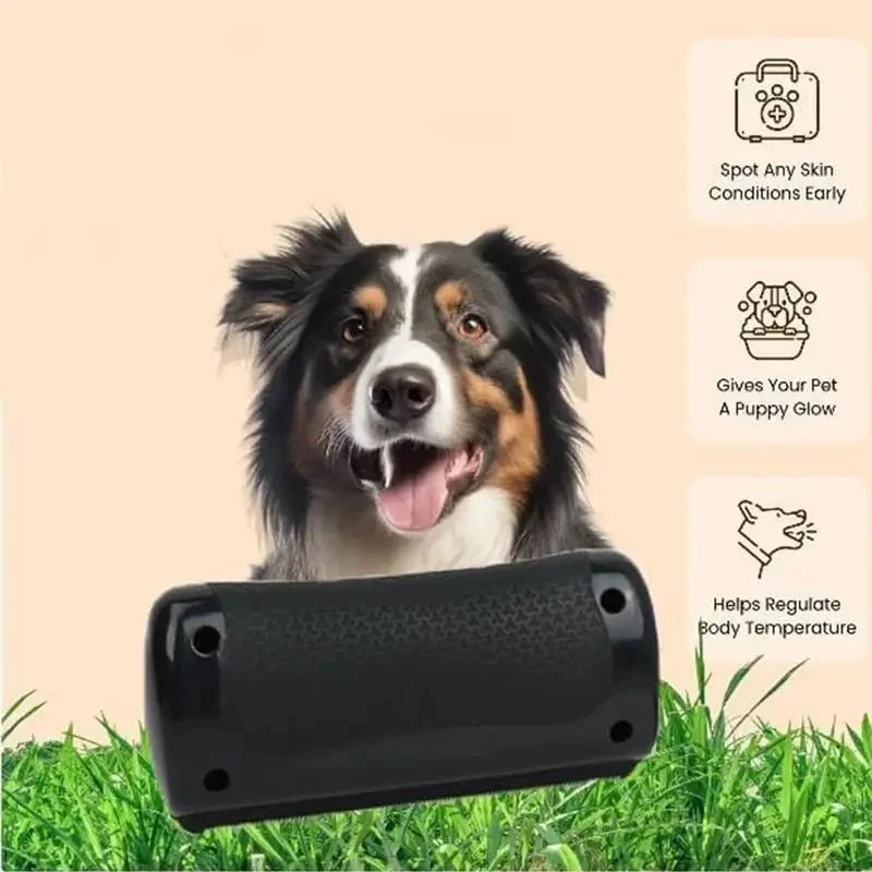 Brosse chien poil ras
