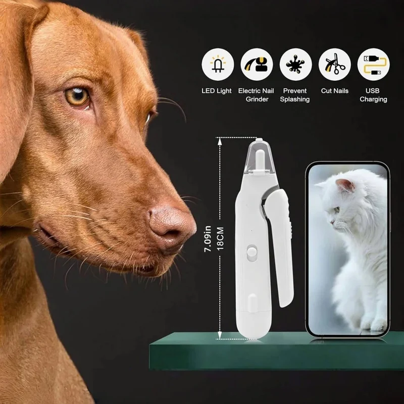 Coupe ongle electrique pour chien
