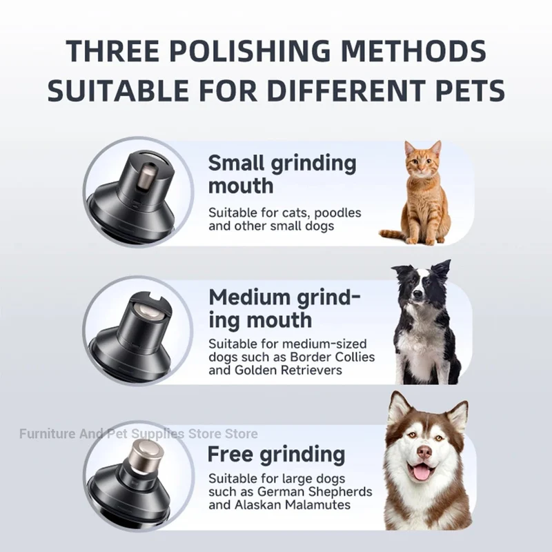 Meilleur coupe ongle pour chien