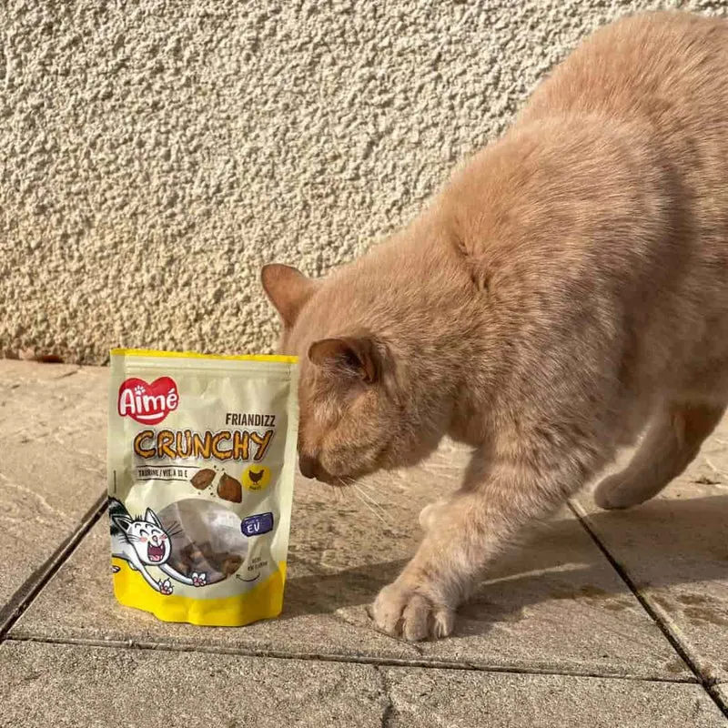 Friandises Crunchy pour Chat 60g
