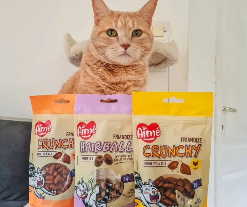 Friandises Crunchy pour Chat 60g