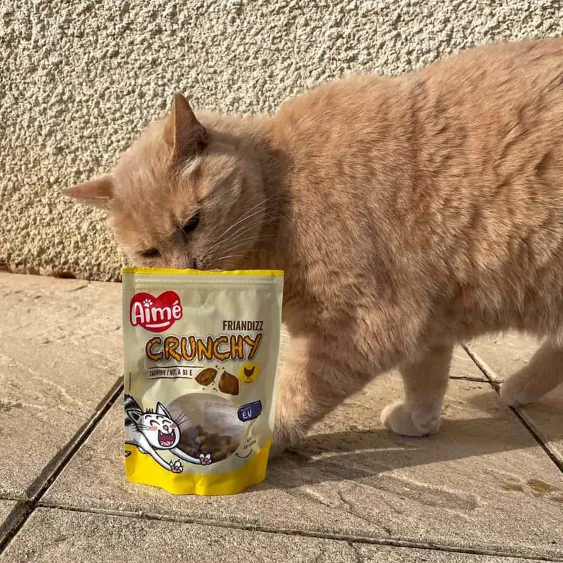 Friandises Crunchy pour Chat 60g