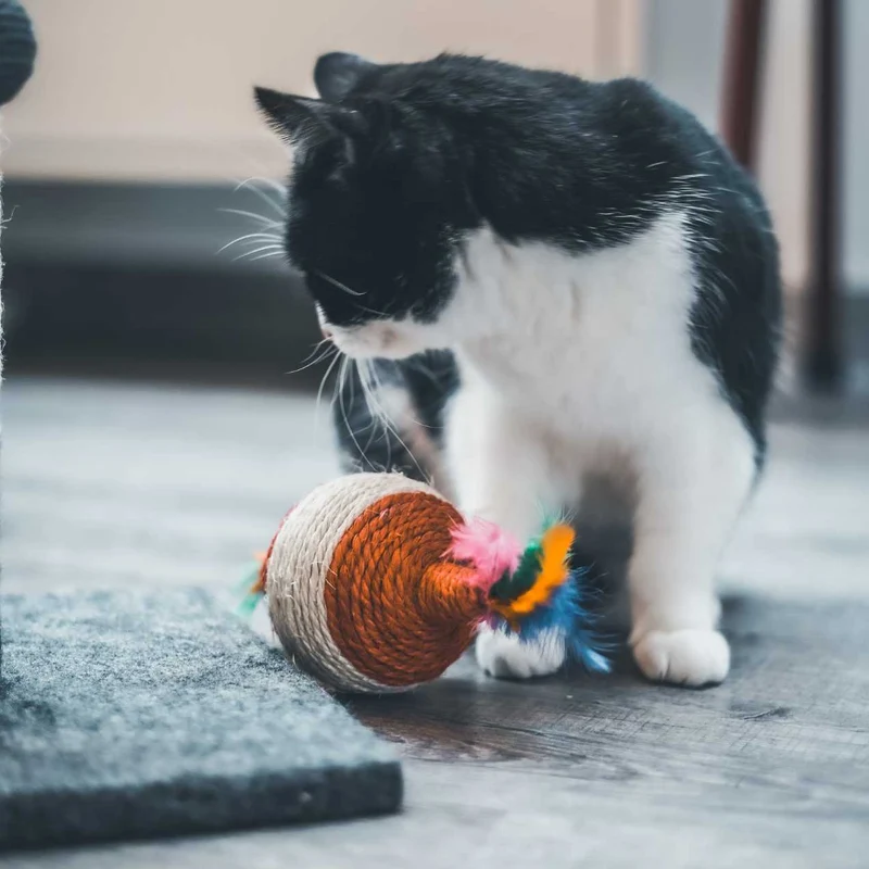Toupie griffoir XXL pour Chat