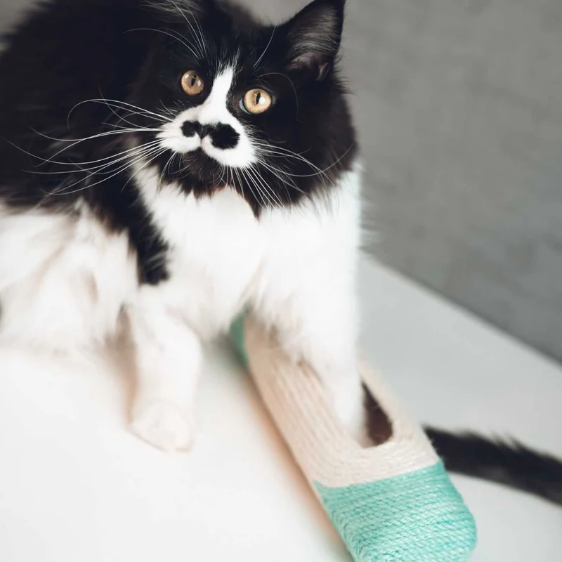 Tube griffoir XXL pour Chat