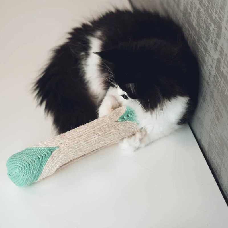 Tube griffoir XXL pour Chat