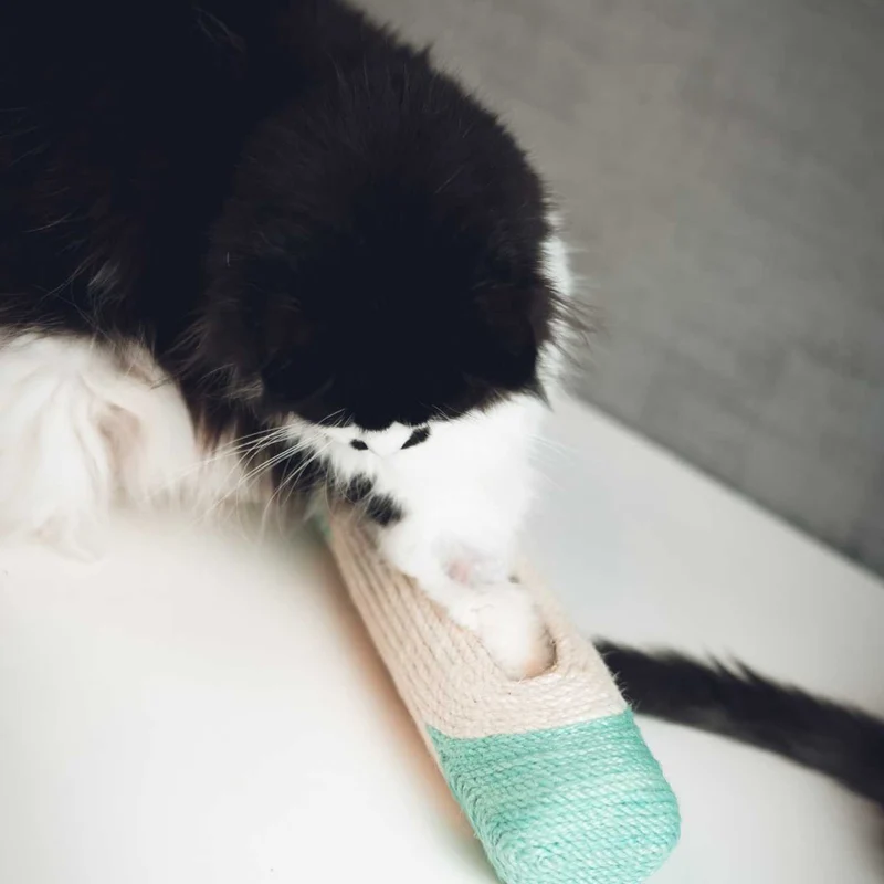 Tube griffoir XXL pour Chat