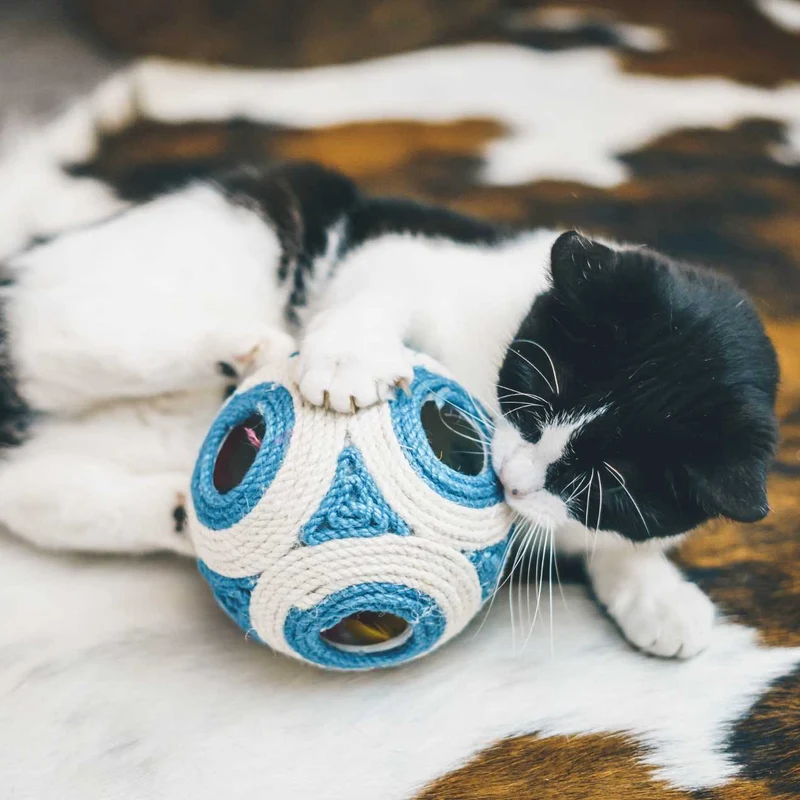 Balle griffoir XXL pour Chat