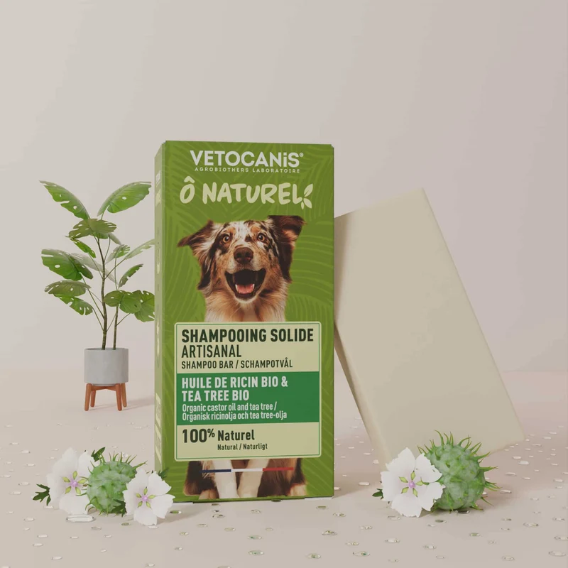 Shampoing Solide Artisanal pour Chien