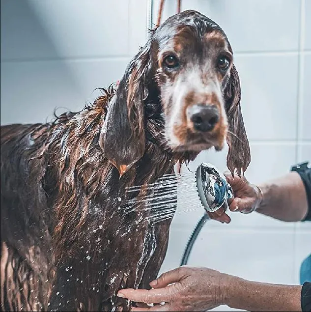Shampoing pour Chien Abricot & Miel 1L